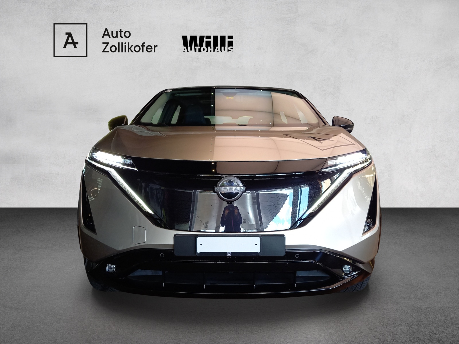 Nissan Ariya Evolve